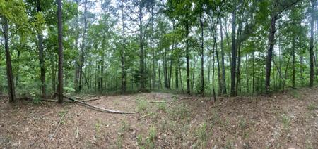 741 Forge Court, Ranger GA 30734