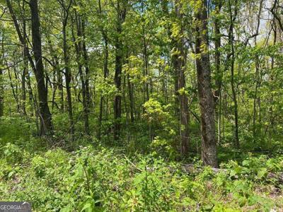 Burnt Mountain Cove Road # 7C, Jasper GA 30143
