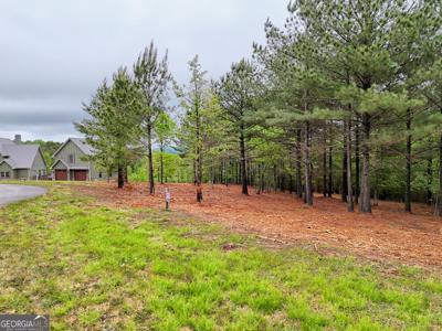 Lot 87 Northshore # 87, Blairsville GA 30512