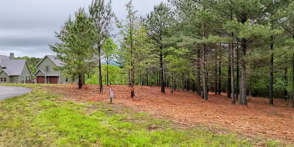 Lot 87 Northshore # 87, Blairsville GA 30512