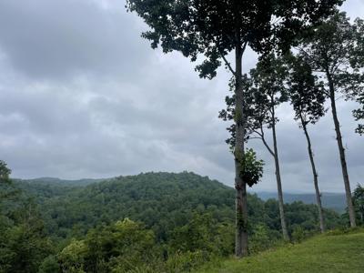 916 Aurora Lane, Ranger GA 30734