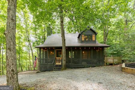 681 Skyview Drive, Ellijay GA 30536