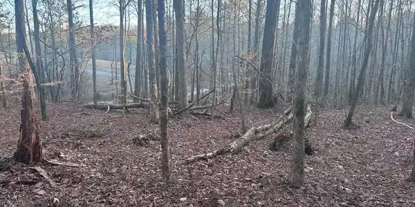 00 Red Branch Road
