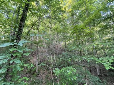 733 Nettle Lane, Ranger GA 30734