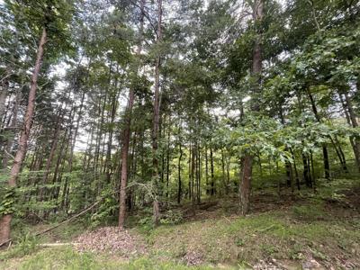 1059 Mayfield Lane NE, Ranger GA 30734