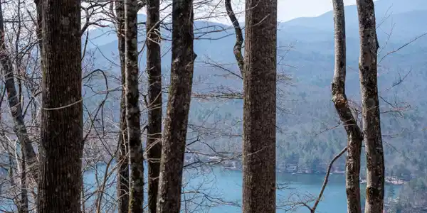 Lot 11 Rainwater Trail, Tiger GA 30576