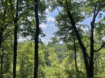 1200 Jewel Court NE, Ranger GA 30734