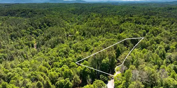 Roaring Forks Lane, Ellijay GA 30540
