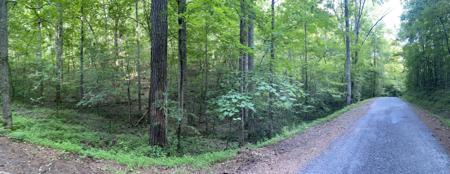 732 Nettle Lane, Ranger GA 30734