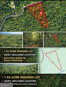1022 Raccoon Ridge Road, Ranger GA 30734