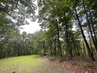 1510 Drew Court, Ranger GA 30734