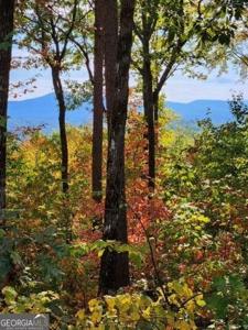 LOT 16 Abbott Mill Road