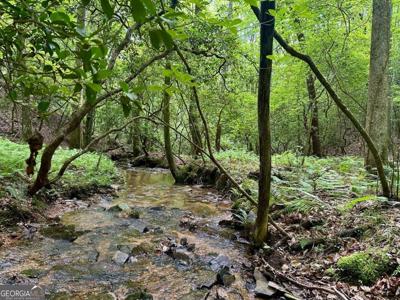 10.4-/+ Freedom View Drive, Dahlonega GA 30533