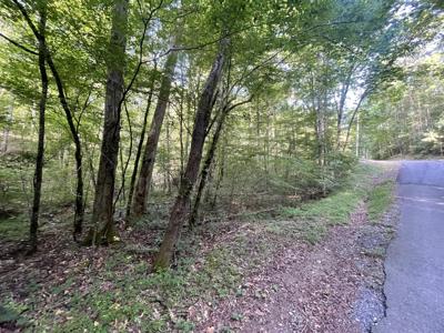 730 Nettle Lane, Ranger GA 30734