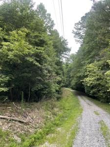 843 Albus Court NE, Ranger GA 30734