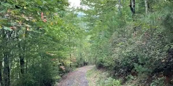 Sequoia Hills Lane, Clayton GA 30525