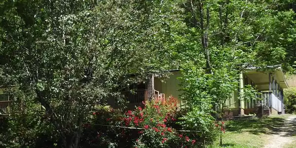 9503 Tails Creek Road, Ellijay GA 30540