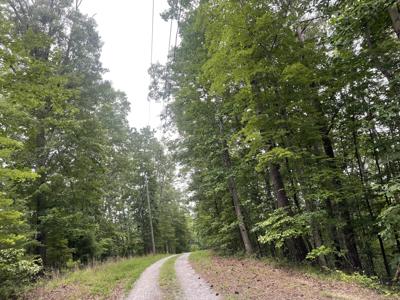 871 Bolster Lane NE, Ranger GA 30734