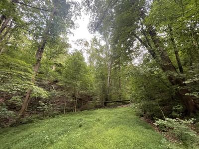 1233 Crown Court, Ranger GA 30734