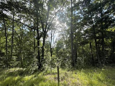 101 Adair Drive, Ranger GA 30734
