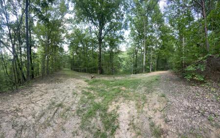 253 Oxford Circle NE, Ranger GA 30734