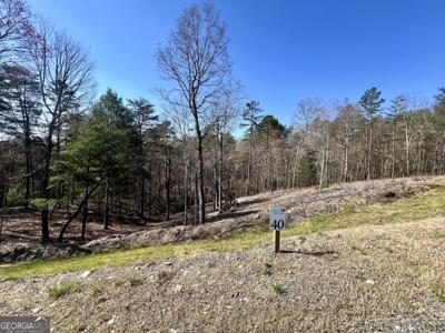 40 Ridgeline Lane