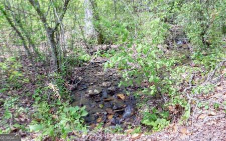 TRACT 2 Clayton Gooch Road, Dahlonega GA 30533