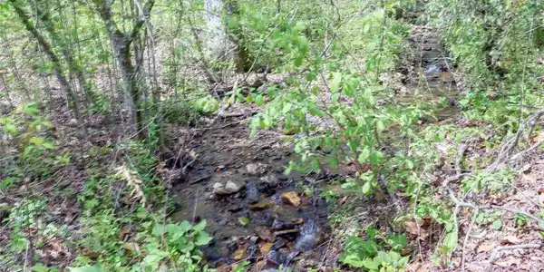 TRACT 2 Clayton Gooch Road, Dahlonega GA 30533