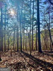 334 Packet Court, Ranger GA 30734