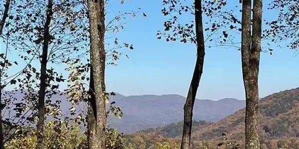 1189 Walnut Ridge, Ellijay GA 30536