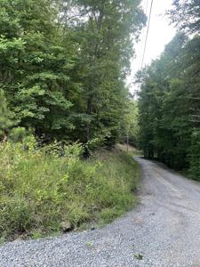 545 Galaxy Way NE, Ranger GA 30734