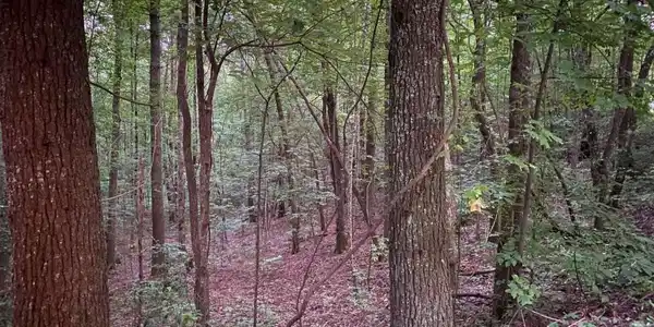 Lot 46 Whitecliff Drive, Ellijay GA 30540