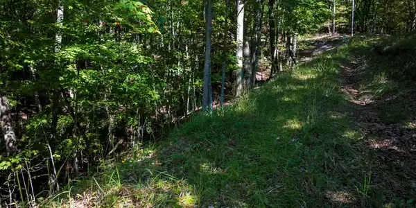 Lot 3- 2.3 ACRE Arrowhead Drive, Mineral Bluff GA 30559