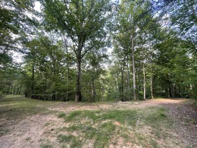 254 Oxford Circle NE, Ranger GA 30734
