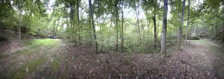 667 Sanford Court, Ranger GA 30734
