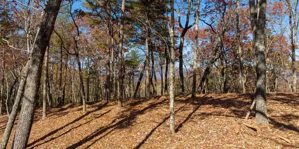 Lot 41 Preserve Trail, Ellijay GA 30536