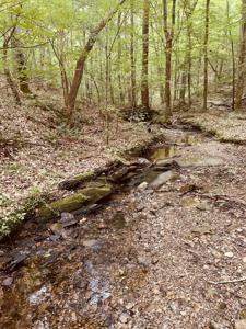 852 Albus Court NE, Ranger GA 30734