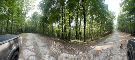 1218 Hilton Drive, Ranger GA 30734