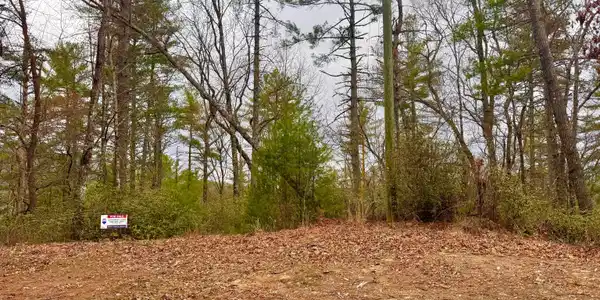 0 Long Mountain Dr, LOTS 1 & 3