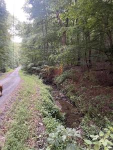 682 Anderson Lane NE, Ranger GA 30734