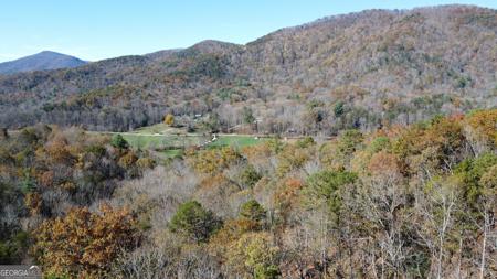 Benfield Lane, Clarkesville GA 30523