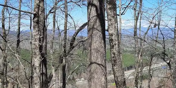 Lot 7 Quail Run Ridge, Murphy NC 28906