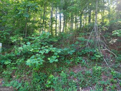 Lot 26 DRIVER LANE, Sky Valley GA 30537