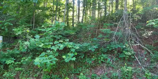 Lot 26 DRIVER LANE, Sky Valley GA 30537