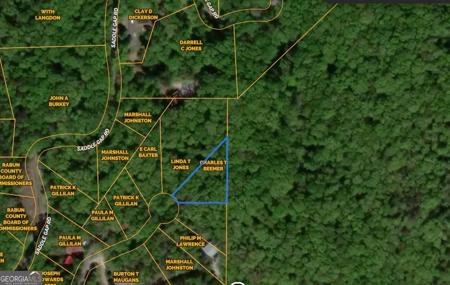 883 Rue Lane, Clayton GA 30525