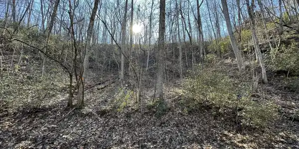Timber Bluff Drive, Clayton GA 30525