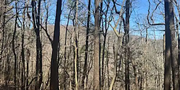 Lot 14 Butler Creek Road, Cherry Log GA 30522