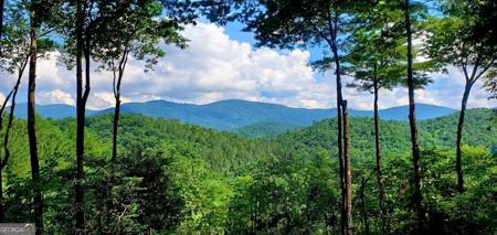 Lot 3 Gold Ridge Trail, Cherry Log GA 30522