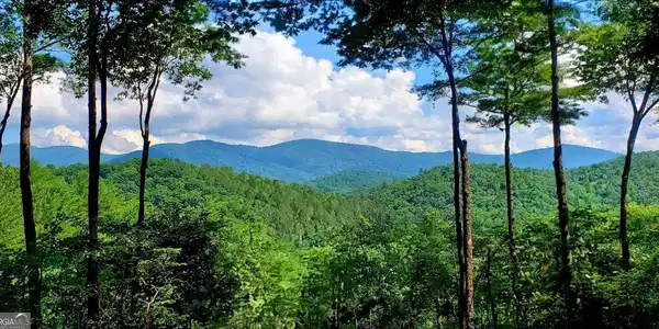 Lot 3 Gold Ridge Trail, Cherry Log GA 30522