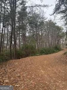 Winchester Creek, Young Harris GA 30582